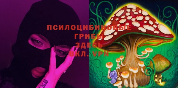прущие крисы Балахна